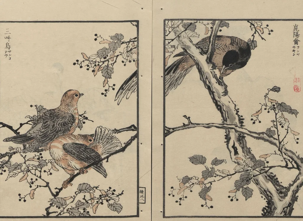 An illustration from Bairei Picture Album of One Hundred Birds (Bairei hyakuchō gafu 楳嶺百鳥畫譜) : [volume 2], 1884, leaf 13