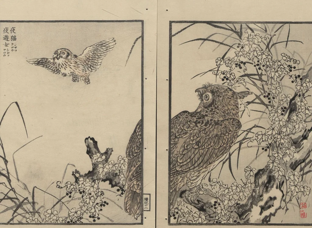 An illustration from Bairei Picture Album of One Hundred Birds (Bairei hyakuchō gafu 楳嶺百鳥畫譜) : [volume 2], 1884, leaf 17
