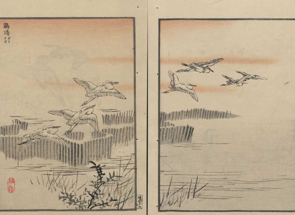 An illustration from Bairei Picture Album of One Hundred Birds (Bairei hyakuchō gafu 楳嶺百鳥畫譜) : [volume 2], 1884, leaf 18