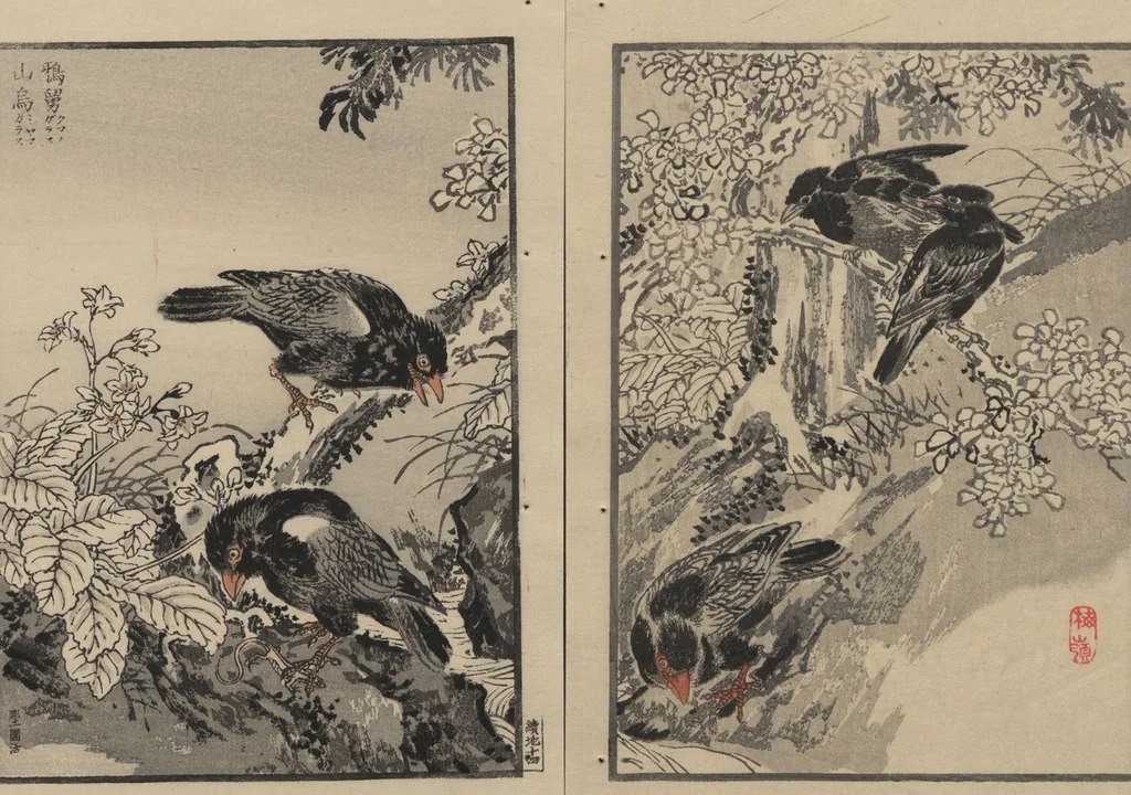 An illustration from Bairei Picture Album of One Hundred Birds (Bairei hyakuchō gafu 楳嶺百鳥畫譜) : [volume 2], 1884, leaf 19