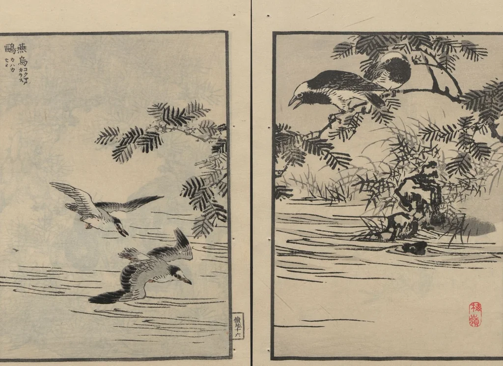 An illustration from Bairei Picture Album of One Hundred Birds (Bairei hyakuchō gafu 楳嶺百鳥畫譜) : [volume 2], 1884, leaf 21