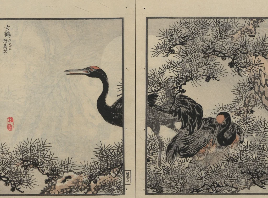 An illustration from Bairei Picture Album of One Hundred Birds (Bairei hyakuchō gafu 楳嶺百鳥畫譜) : [volume 2], 1884, leaf 22