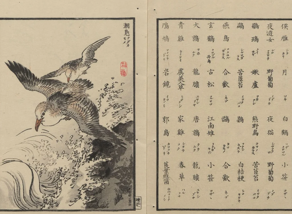 An illustration from Bairei Picture Album of One Hundred Birds (Bairei hyakuchō gafu 楳嶺百鳥畫譜) : [volume 2], 1884, leaf 6