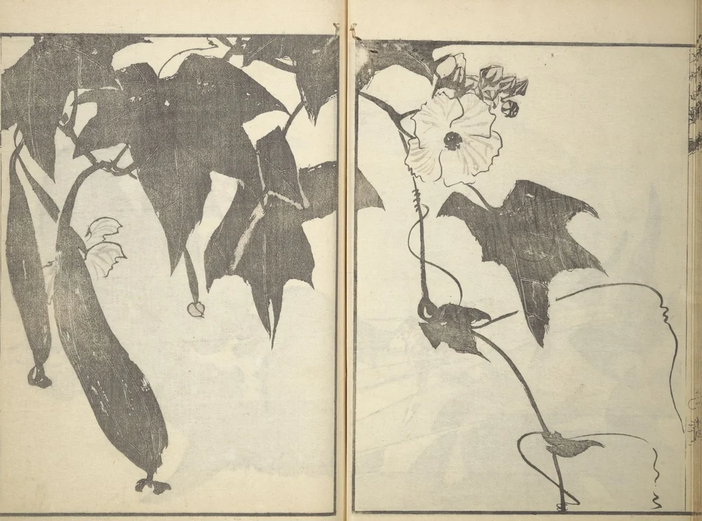 An illustration from A Thicket of Pictures Without Shapes (Fukei gasō), 1817, leaf 25