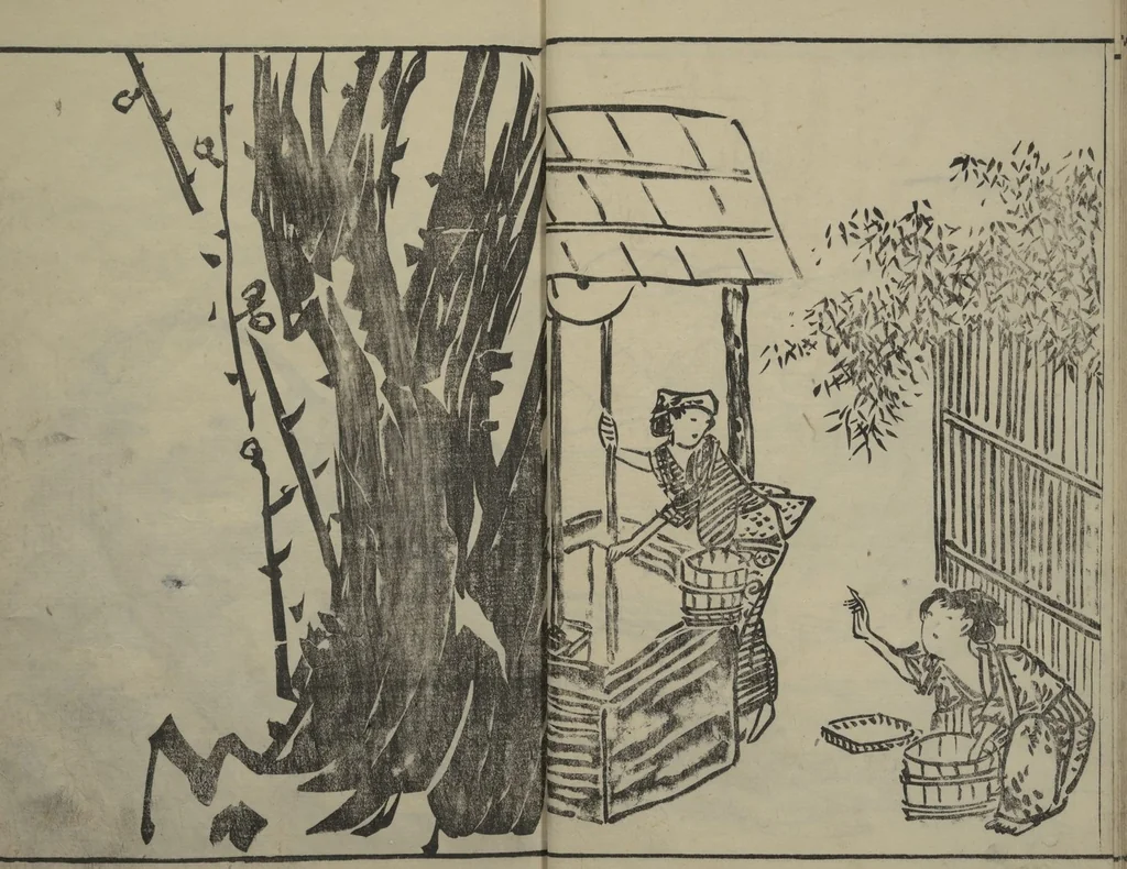 An illustration from Kyūrō (Baitei) Picture Album (Kyūrō gafu 九老画譜), 1797, leaf 16