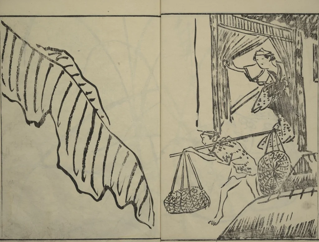 An illustration from Kyūrō (Baitei) Picture Album (Kyūrō gafu 九老画譜), 1797, leaf 6