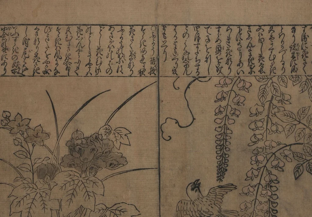 An illustration from Illustrations of Birds and Flowers (Kachō e-zukushi 花鳥絵づくし), 1683, leaf 10
