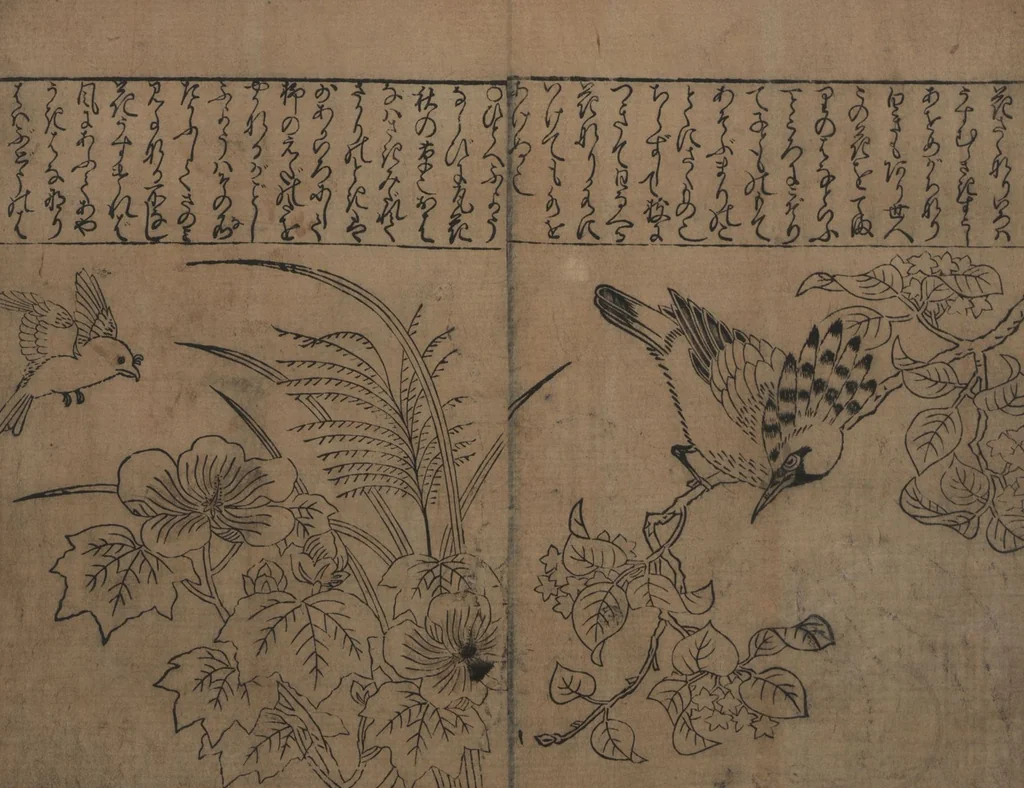 An illustration from Illustrations of Birds and Flowers (Kachō e-zukushi 花鳥絵づくし), 1683, leaf 11