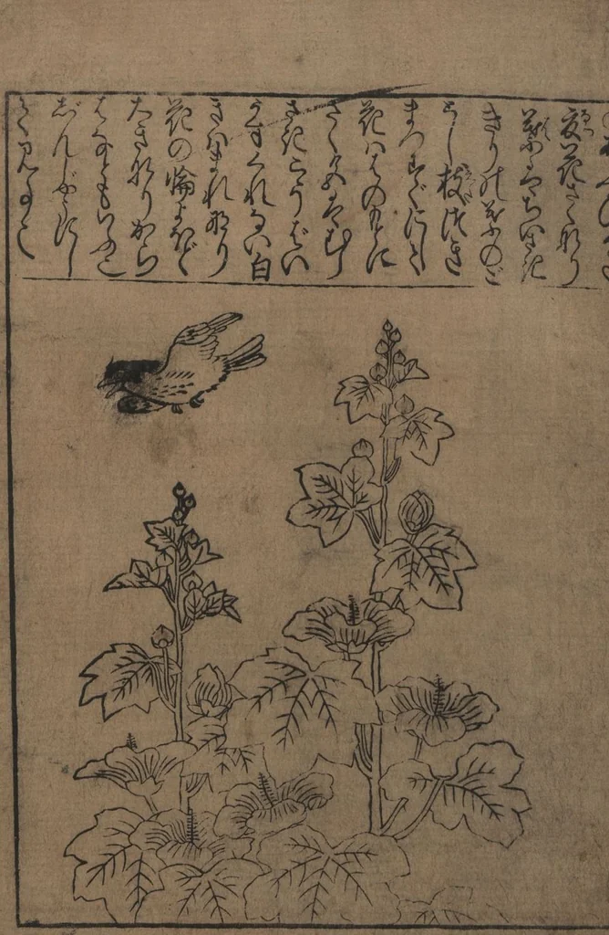 An illustration from Illustrations of Birds and Flowers (Kachō e-zukushi 花鳥絵づくし), 1683, leaf 12