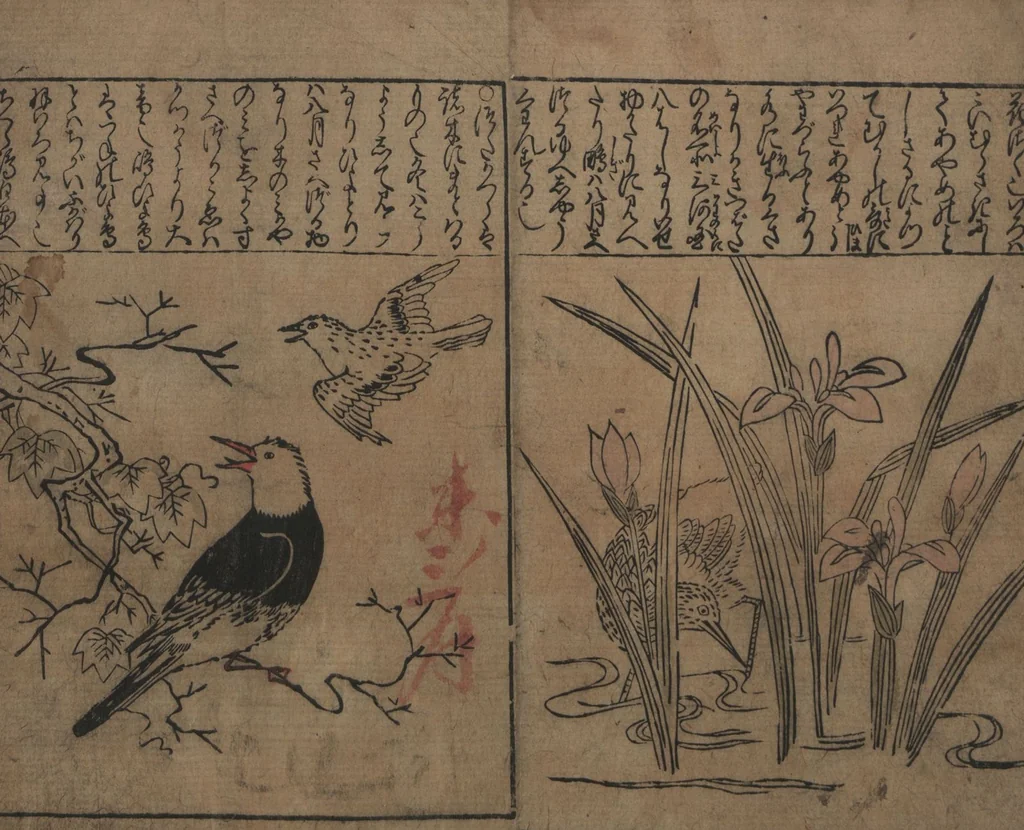 An illustration from Illustrations of Birds and Flowers (Kachō e-zukushi 花鳥絵づくし), 1683, leaf 17