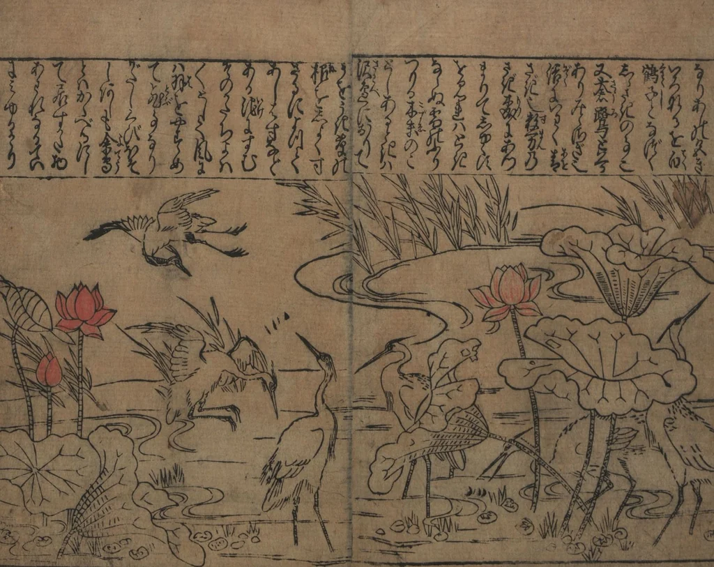 An illustration from Illustrations of Birds and Flowers (Kachō e-zukushi 花鳥絵づくし), 1683, leaf 18