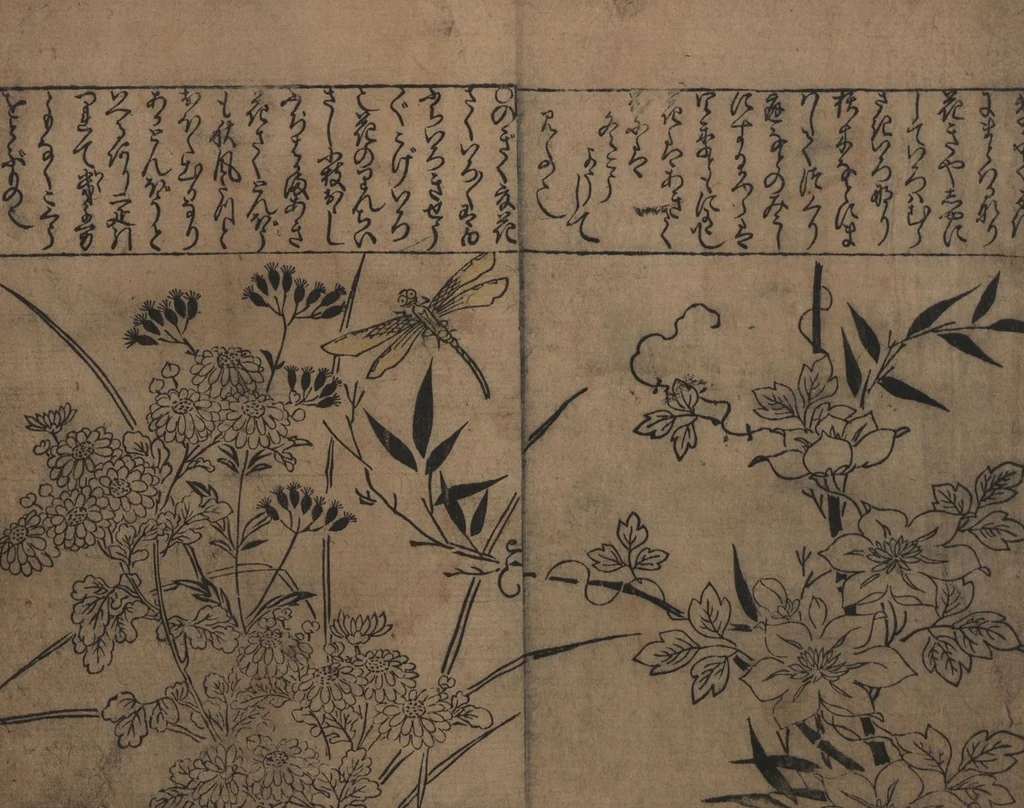 An illustration from Illustrations of Birds and Flowers (Kachō e-zukushi 花鳥絵づくし), 1683, leaf 5