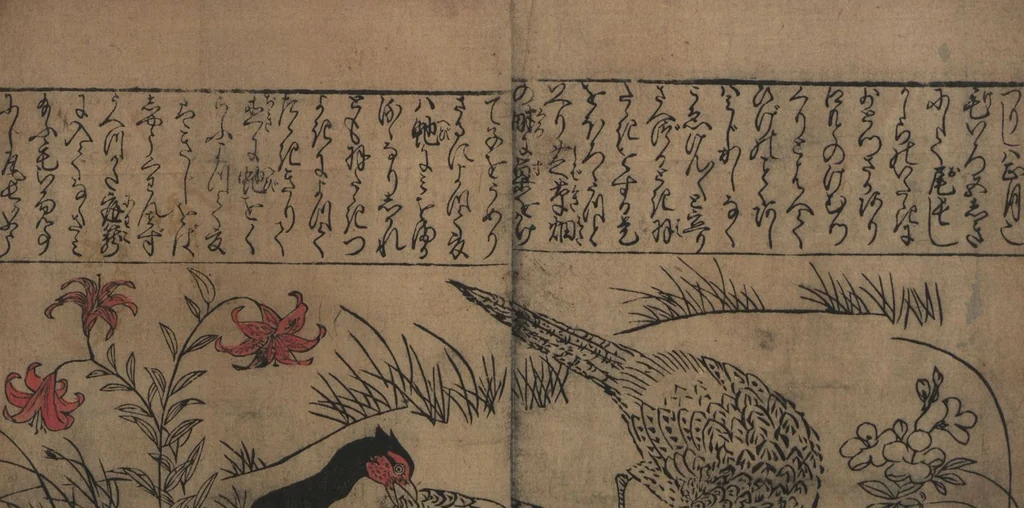 An illustration from Illustrations of Birds and Flowers (Kachō e-zukushi 花鳥絵づくし), 1683, leaf 7