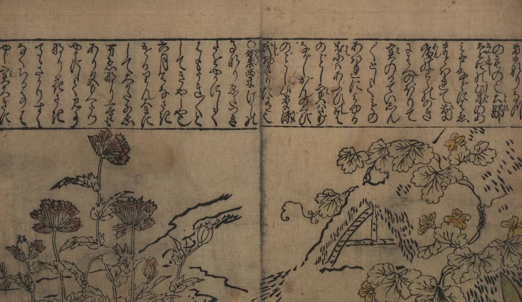 An illustration from Illustrations of Birds and Flowers (Kachō e-zukushi 花鳥絵づくし), 1683, leaf 8