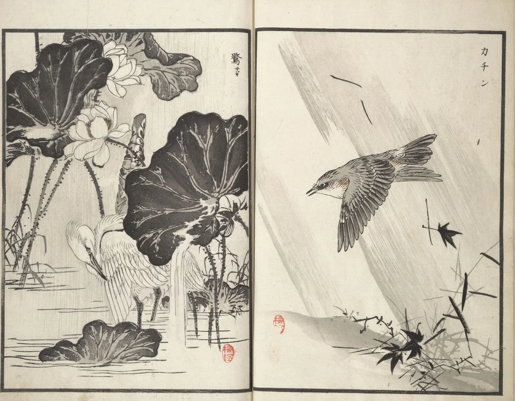 An illustration from Bairei Picture Album of One Hundred Birds (Bairei hyakuchō gafu 楳嶺百鳥畫譜) : [volume 1], 1881, leaf 10
