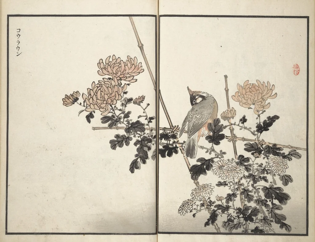 An illustration from Bairei Picture Album of One Hundred Birds (Bairei hyakuchō gafu 楳嶺百鳥畫譜) : [volume 1], 1881, leaf 16