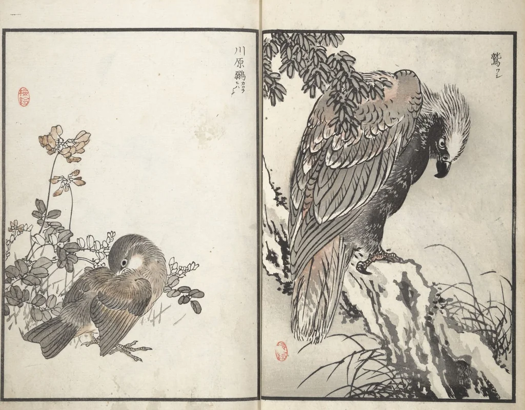 An illustration from Bairei Picture Album of One Hundred Birds (Bairei hyakuchō gafu 楳嶺百鳥畫譜) : [volume 1], 1881, leaf 7