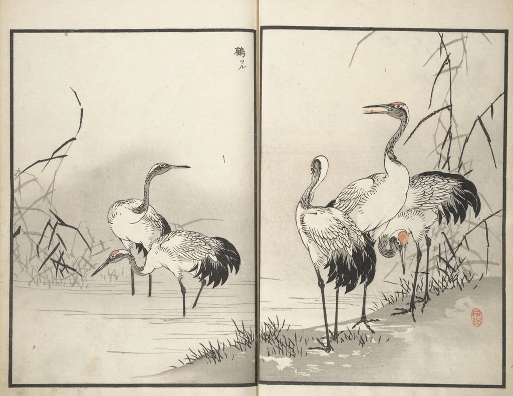 An illustration from Bairei Picture Album of One Hundred Birds (Bairei hyakuchō gafu 楳嶺百鳥畫譜) : [volume 1], 1881, leaf 9