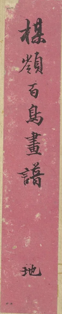 An illustration from Bairei Picture Album of One Hundred Birds (Bairei hyakuchō gafu 楳嶺百鳥畫譜) : [volume 2], 1881, leaf 1