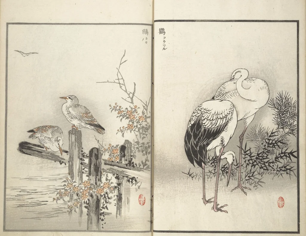 An illustration from Bairei Picture Album of One Hundred Birds (Bairei hyakuchō gafu 楳嶺百鳥畫譜) : [volume 2], 1881, leaf 11