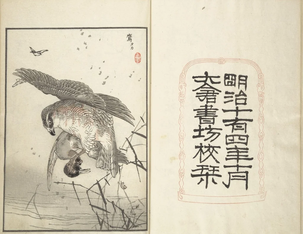 An illustration from Bairei Picture Album of One Hundred Birds (Bairei hyakuchō gafu 楳嶺百鳥畫譜) : [volume 2], 1881, leaf 5