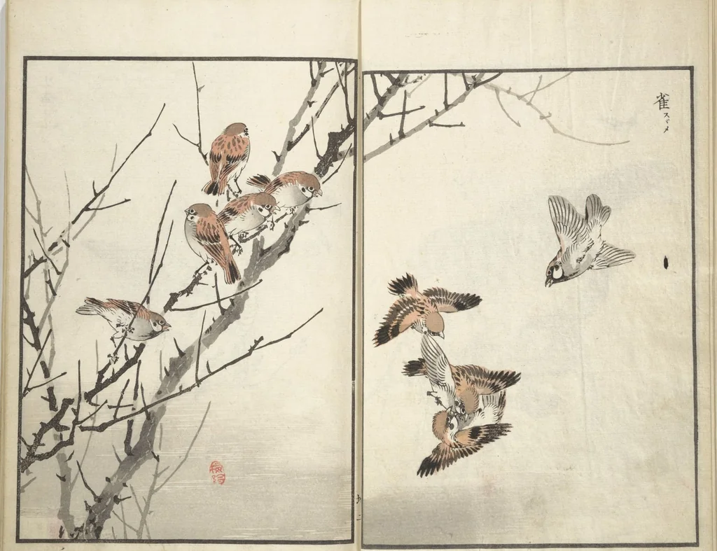 An illustration from Bairei Picture Album of One Hundred Birds (Bairei hyakuchō gafu 楳嶺百鳥畫譜) : [volume 2], 1881, leaf 6