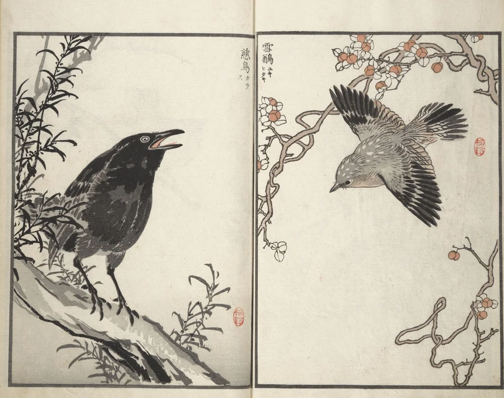 An illustration from Bairei Picture Album of One Hundred Birds (Bairei hyakuchō gafu 楳嶺百鳥畫譜) : [volume 3], 1881, leaf 4