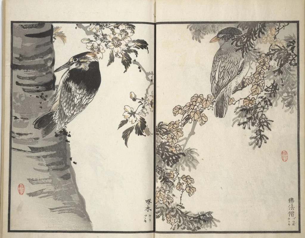 An illustration from Bairei Picture Album of One Hundred Birds (Bairei hyakuchō gafu 楳嶺百鳥畫譜) : [volume 3], 1881, leaf 8