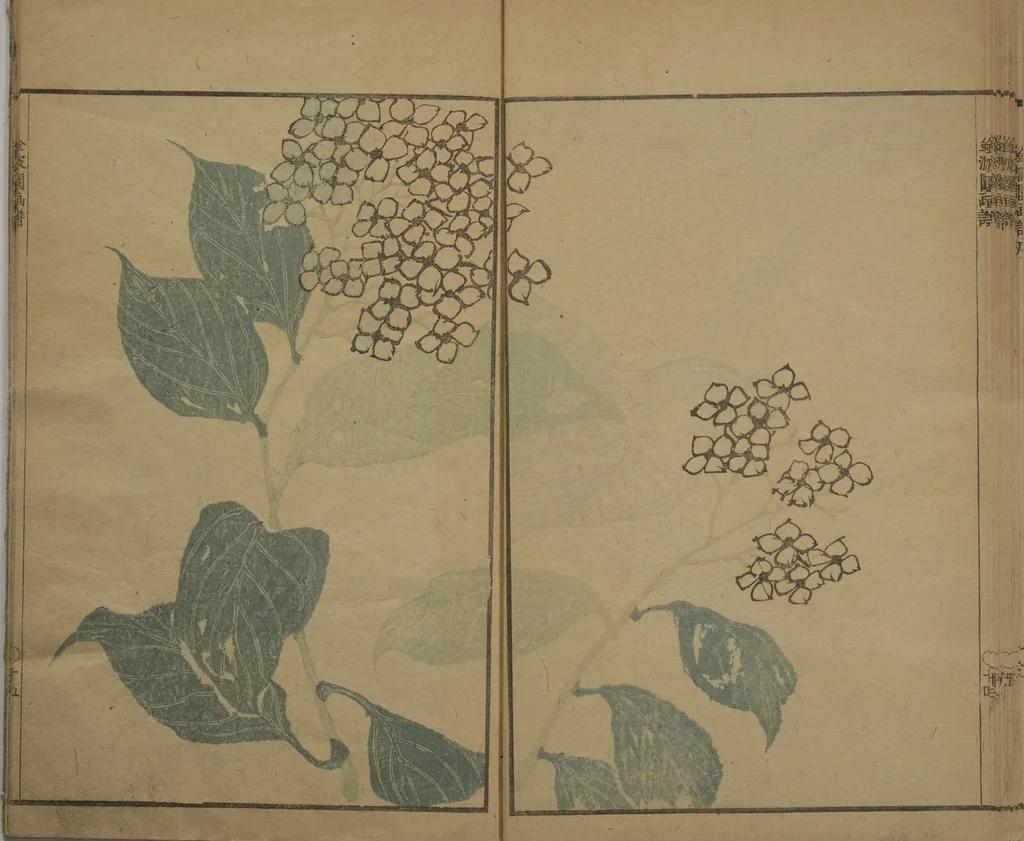 An illustration from Kinpaen (Bunpō) Picture Album (Kinpaen gafu 金波園画譜), 1820, leaf 18