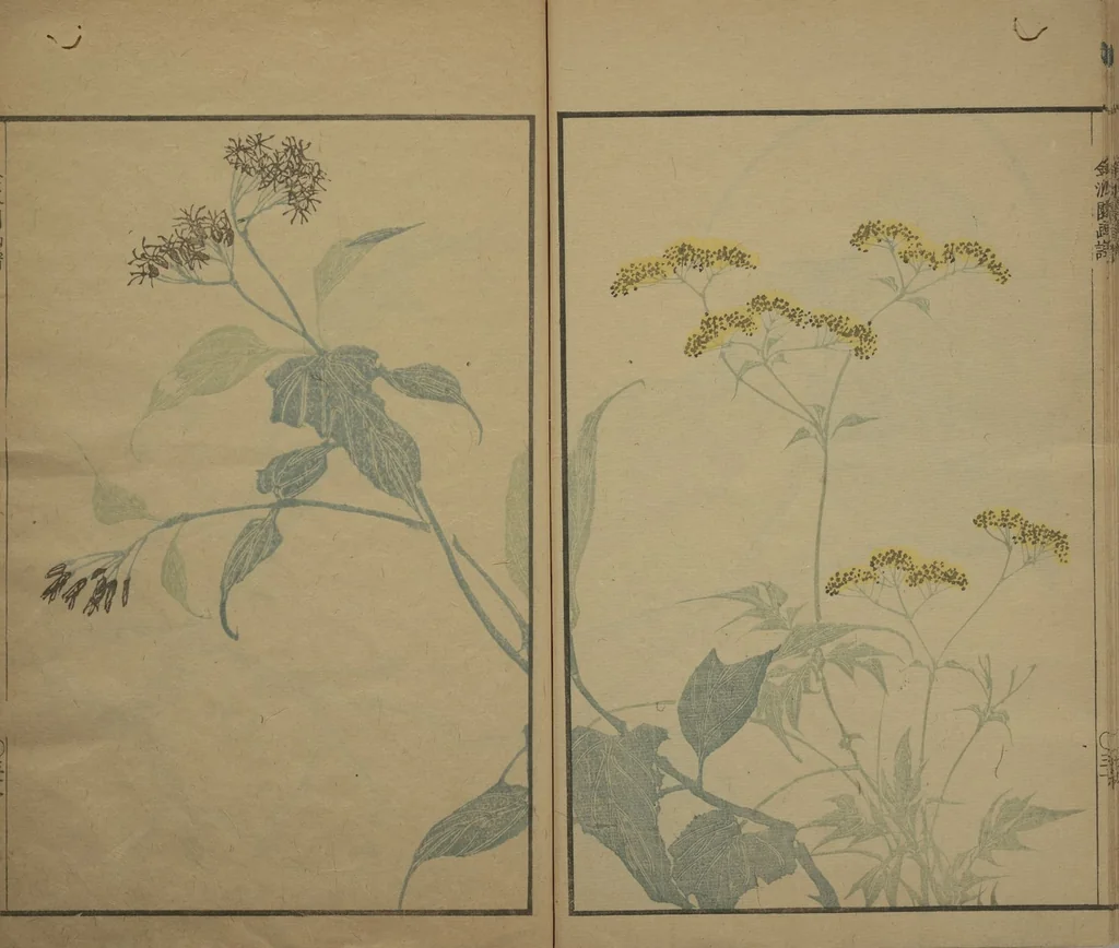 An illustration from Kinpaen (Bunpō) Picture Album (Kinpaen gafu 金波園画譜), 1820, leaf 34