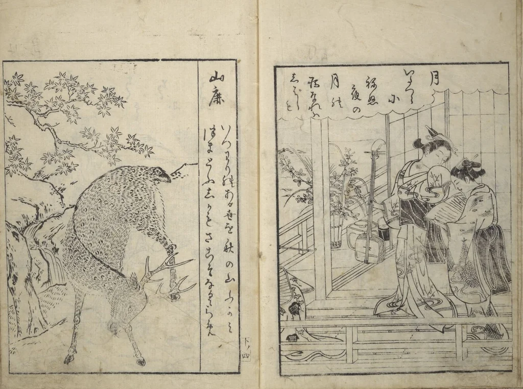 An illustration from Picture Book of Gold Brocades (Ehon kokinran 絵本古錦蘭) : [volume 3], 1763, leaf 4