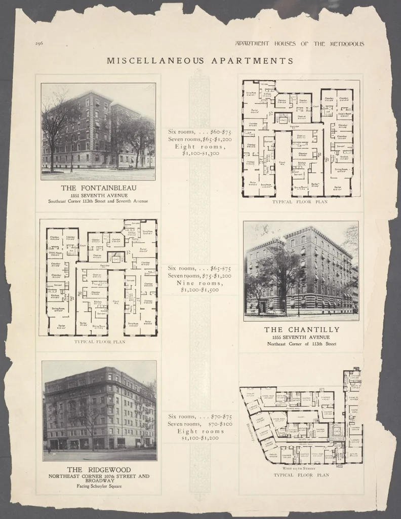An illustration from Apartment houses of the metropolis, 1908, leaf 296