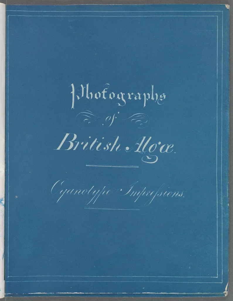 An illustration from Photographs of British algae: cyanotype impressions, 1843, leaf 3