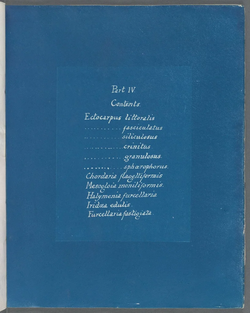 An illustration from Photographs of British algae: cyanotype impressions, 1843, leaf 36