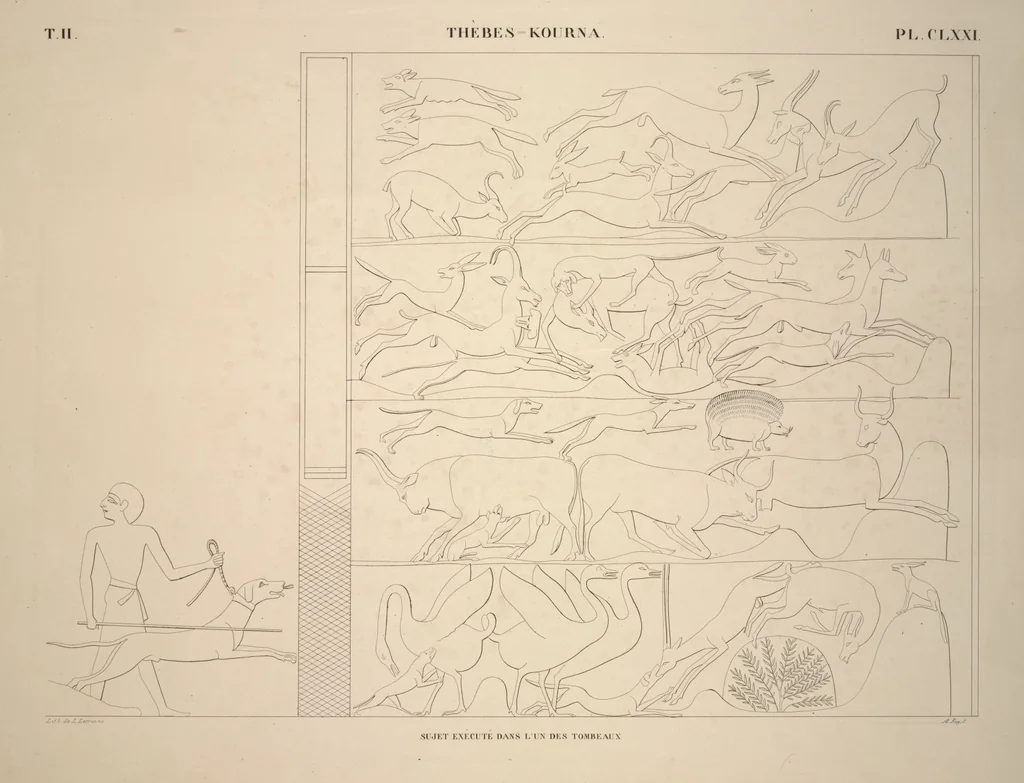 An illustration from Monuments de l'Égypte et de la Nubie, d'après les dessins exécutés sur les lieux sous la direction de Champollion-le-jeune, et les descriptions autographes qu'il en a rédigées; pub. sous les auspices de M. Guizot et de M. Thiers ... par une commission spéciale. Planches, 1835, leaf 206