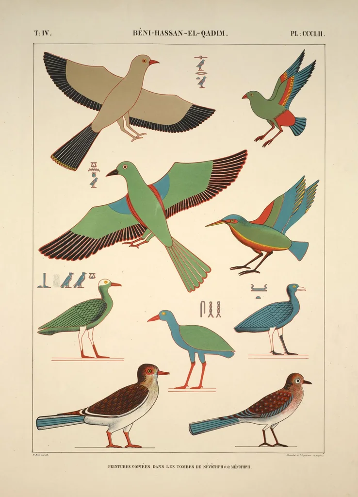 An illustration from Monuments de l'Égypte et de la Nubie, d'après les dessins exécutés sur les lieux sous la direction de Champollion-le-jeune, et les descriptions autographes qu'il en a rédigées; pub. sous les auspices de M. Guizot et de M. Thiers ... par une commission spéciale. Planches, 1835, leaf 403