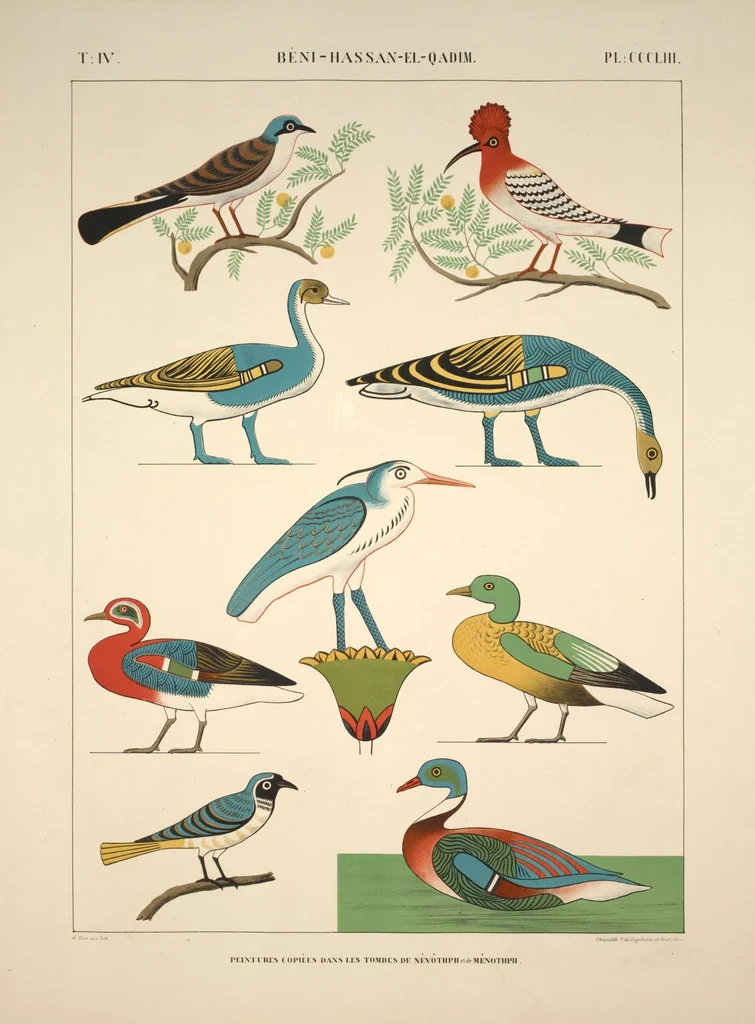 An illustration from Monuments de l'Égypte et de la Nubie, d'après les dessins exécutés sur les lieux sous la direction de Champollion-le-jeune, et les descriptions autographes qu'il en a rédigées; pub. sous les auspices de M. Guizot et de M. Thiers ... par une commission spéciale. Planches, 1835, leaf 404