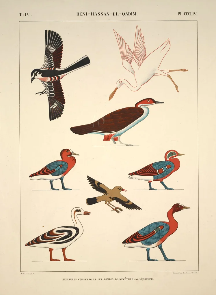 An illustration from Monuments de l'Égypte et de la Nubie, d'après les dessins exécutés sur les lieux sous la direction de Champollion-le-jeune, et les descriptions autographes qu'il en a rédigées; pub. sous les auspices de M. Guizot et de M. Thiers ... par une commission spéciale. Planches, 1835, leaf 405