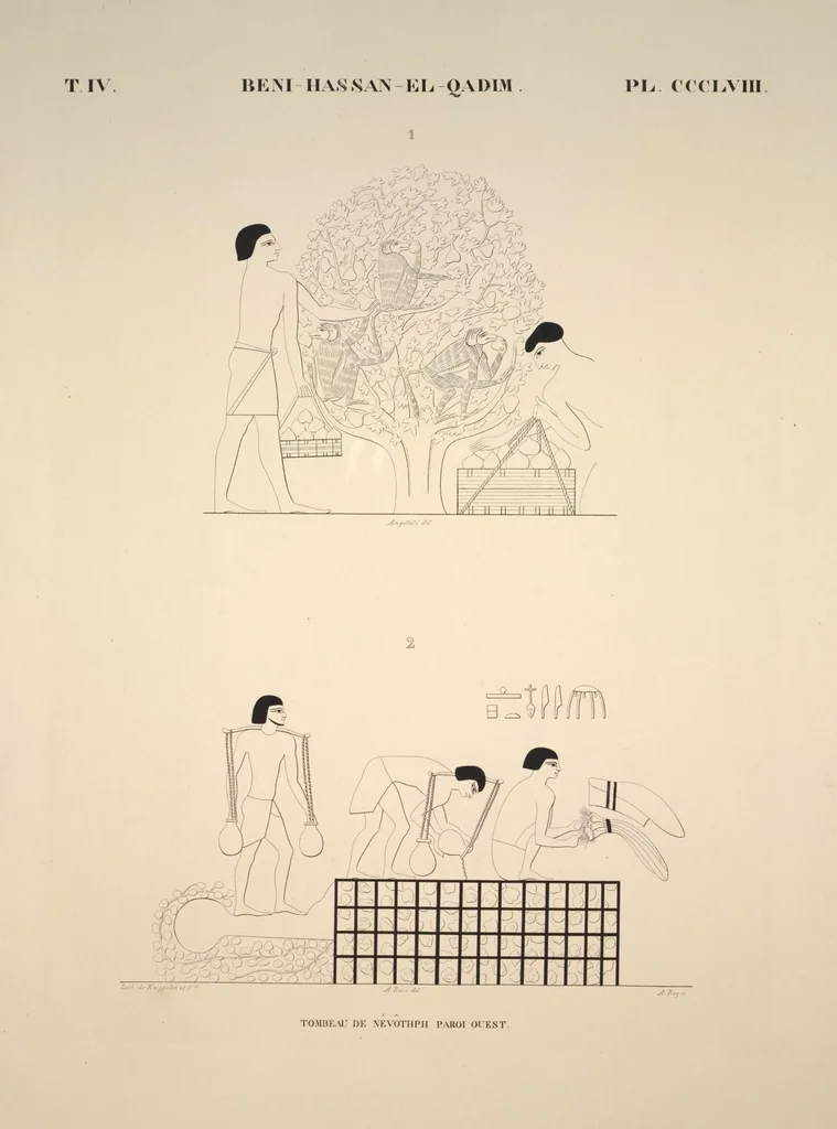 An illustration from Monuments de l'Égypte et de la Nubie, d'après les dessins exécutés sur les lieux sous la direction de Champollion-le-jeune, et les descriptions autographes qu'il en a rédigées; pub. sous les auspices de M. Guizot et de M. Thiers ... par une commission spéciale. Planches, 1835, leaf 409
