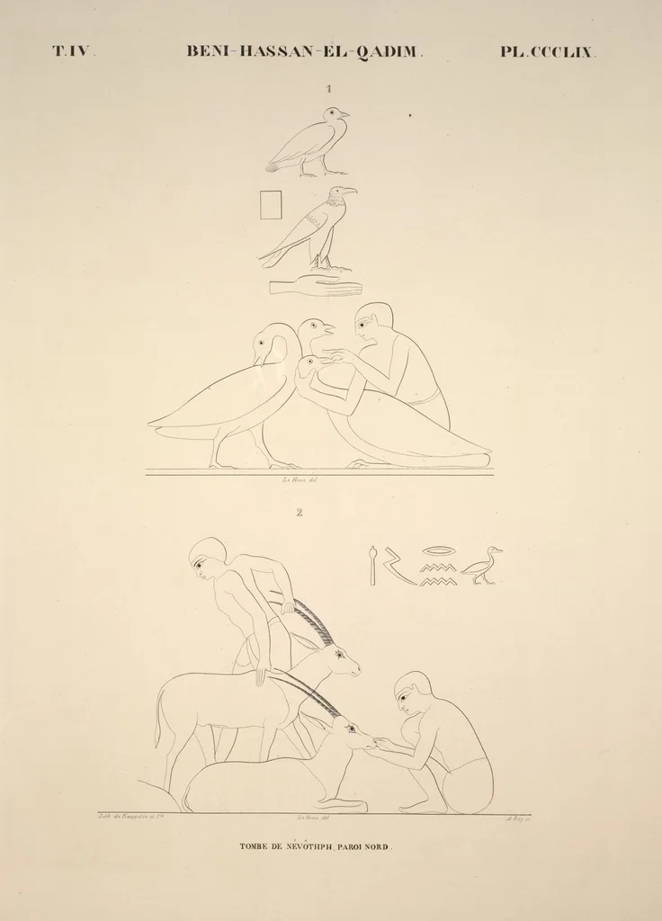 An illustration from Monuments de l'Égypte et de la Nubie, d'après les dessins exécutés sur les lieux sous la direction de Champollion-le-jeune, et les descriptions autographes qu'il en a rédigées; pub. sous les auspices de M. Guizot et de M. Thiers ... par une commission spéciale. Planches, 1835, leaf 410
