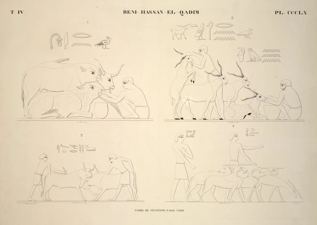 An illustration from Monuments de l'Égypte et de la Nubie, d'après les dessins exécutés sur les lieux sous la direction de Champollion-le-jeune, et les descriptions autographes qu'il en a rédigées; pub. sous les auspices de M. Guizot et de M. Thiers ... par une commission spéciale. Planches, 1835, leaf 411