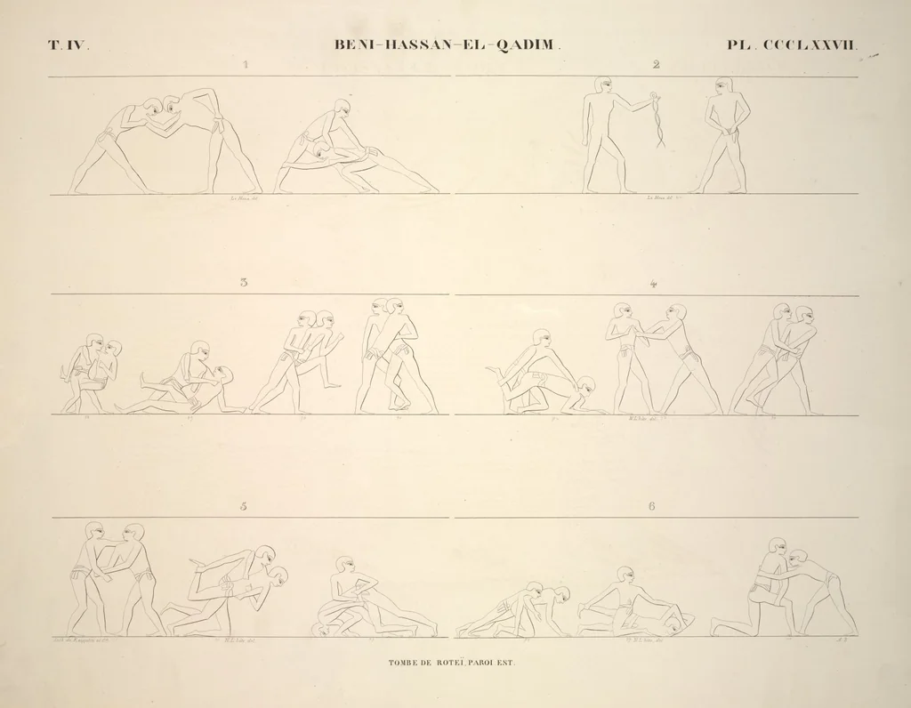 An illustration from Monuments de l'Égypte et de la Nubie, d'après les dessins exécutés sur les lieux sous la direction de Champollion-le-jeune, et les descriptions autographes qu'il en a rédigées; pub. sous les auspices de M. Guizot et de M. Thiers ... par une commission spéciale. Planches, 1835, leaf 429