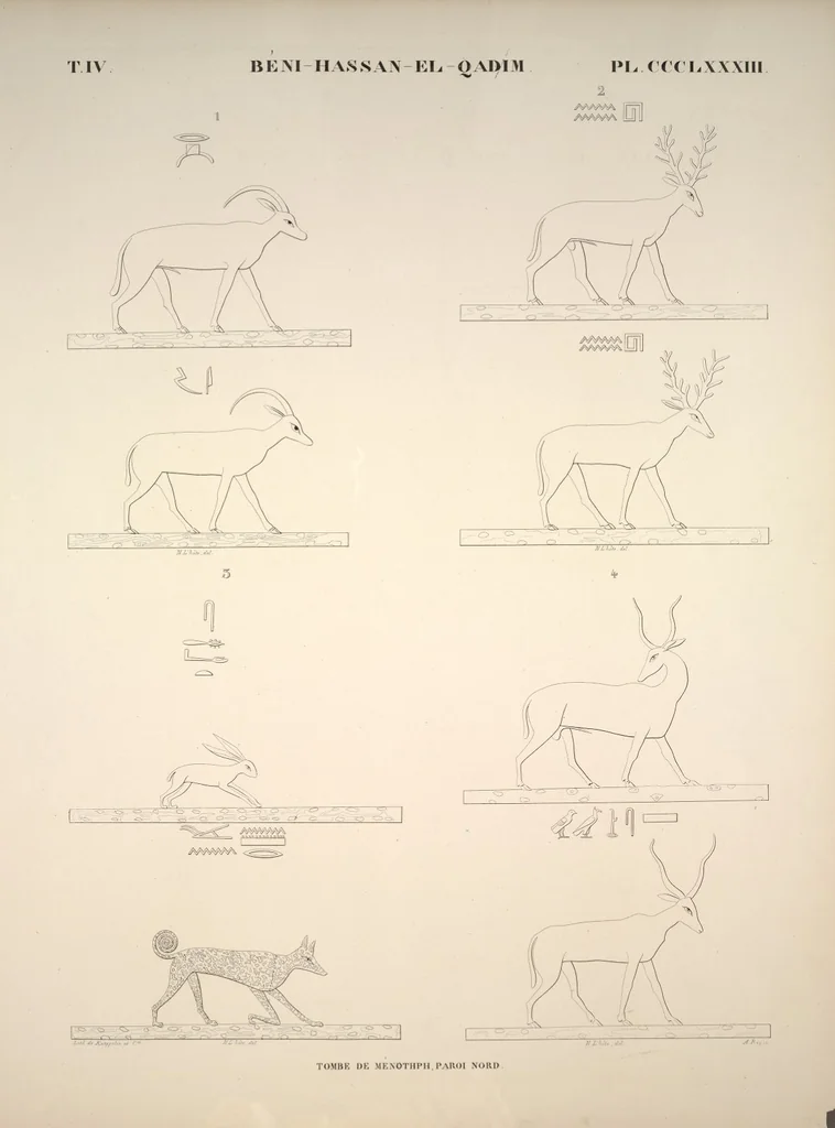 An illustration from Monuments de l'Égypte et de la Nubie, d'après les dessins exécutés sur les lieux sous la direction de Champollion-le-jeune, et les descriptions autographes qu'il en a rédigées; pub. sous les auspices de M. Guizot et de M. Thiers ... par une commission spéciale. Planches, 1835, leaf 440