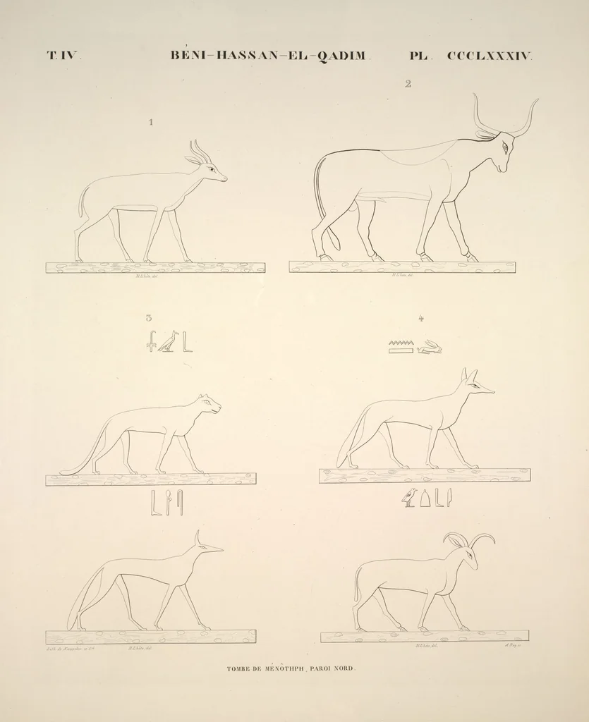 An illustration from Monuments de l'Égypte et de la Nubie, d'après les dessins exécutés sur les lieux sous la direction de Champollion-le-jeune, et les descriptions autographes qu'il en a rédigées; pub. sous les auspices de M. Guizot et de M. Thiers ... par une commission spéciale. Planches, 1835, leaf 441