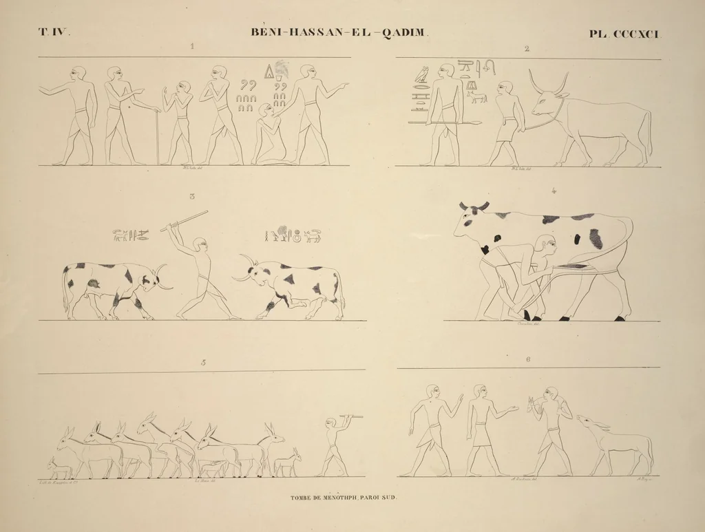 An illustration from Monuments de l'Égypte et de la Nubie, d'après les dessins exécutés sur les lieux sous la direction de Champollion-le-jeune, et les descriptions autographes qu'il en a rédigées; pub. sous les auspices de M. Guizot et de M. Thiers ... par une commission spéciale. Planches, 1835, leaf 448