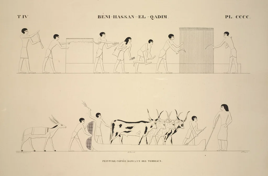 An illustration from Monuments de l'Égypte et de la Nubie, d'après les dessins exécutés sur les lieux sous la direction de Champollion-le-jeune, et les descriptions autographes qu'il en a rédigées; pub. sous les auspices de M. Guizot et de M. Thiers ... par une commission spéciale. Planches, 1835, leaf 458