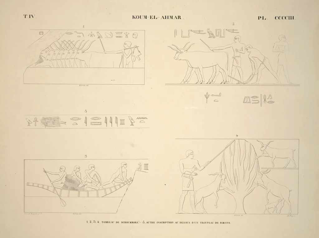 An illustration from Monuments de l'Égypte et de la Nubie, d'après les dessins exécutés sur les lieux sous la direction de Champollion-le-jeune, et les descriptions autographes qu'il en a rédigées; pub. sous les auspices de M. Guizot et de M. Thiers ... par une commission spéciale. Planches, 1835, leaf 461