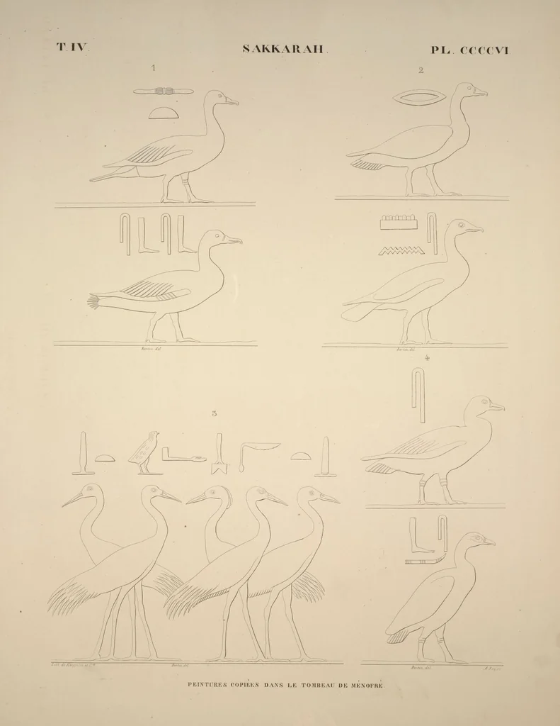 An illustration from Monuments de l'Égypte et de la Nubie, d'après les dessins exécutés sur les lieux sous la direction de Champollion-le-jeune, et les descriptions autographes qu'il en a rédigées; pub. sous les auspices de M. Guizot et de M. Thiers ... par une commission spéciale. Planches, 1835, leaf 466