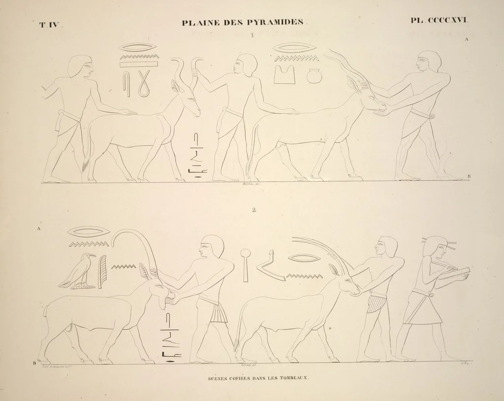 An illustration from Monuments de l'Égypte et de la Nubie, d'après les dessins exécutés sur les lieux sous la direction de Champollion-le-jeune, et les descriptions autographes qu'il en a rédigées; pub. sous les auspices de M. Guizot et de M. Thiers ... par une commission spéciale. Planches, 1835, leaf 476