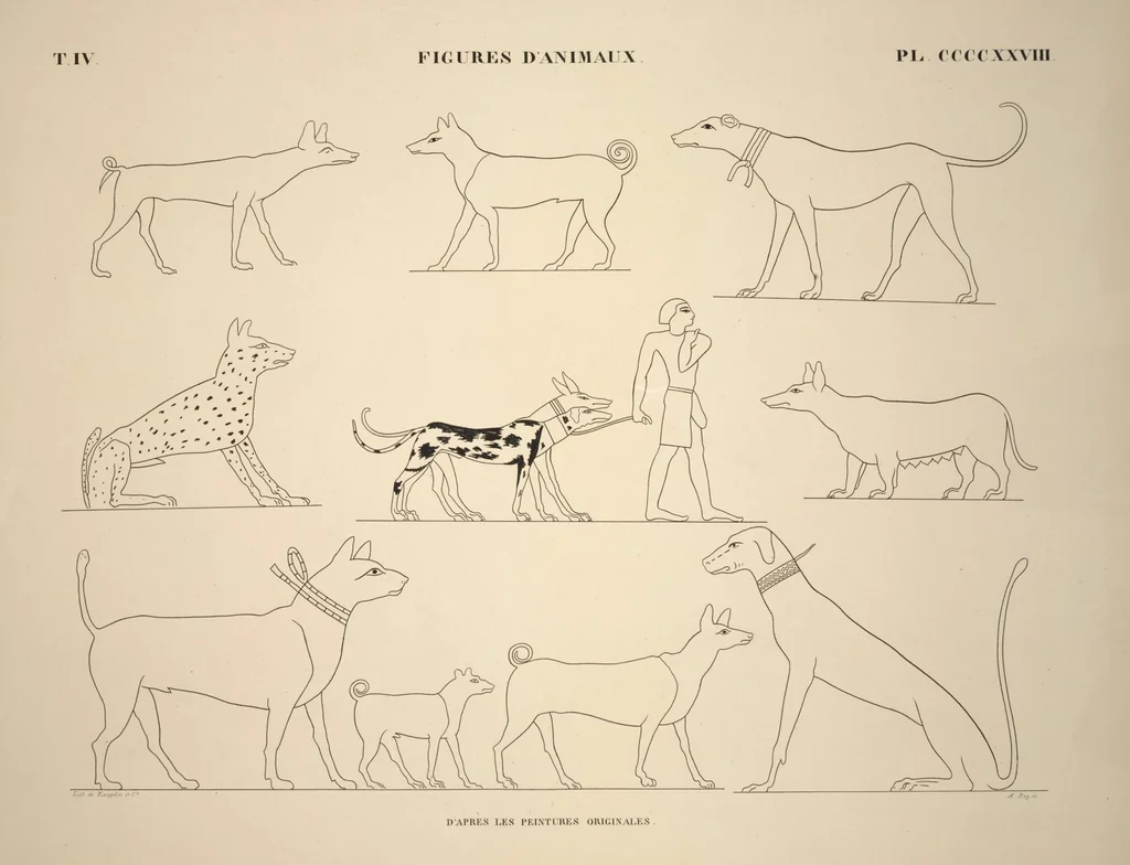 An illustration from Monuments de l'Égypte et de la Nubie, d'après les dessins exécutés sur les lieux sous la direction de Champollion-le-jeune, et les descriptions autographes qu'il en a rédigées; pub. sous les auspices de M. Guizot et de M. Thiers ... par une commission spéciale. Planches, 1835, leaf 488